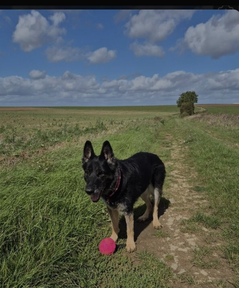 Lhekate van het groot wezenland